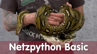 Reptil TV - Folge 99 - Netzpython Basic