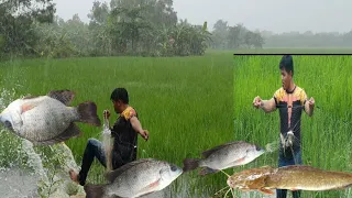 catch and cook daily life countryside life(survival)