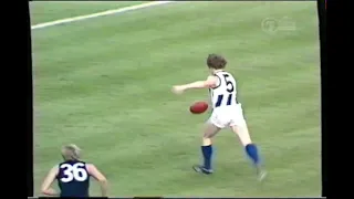 1976 PF Carlton v North Melbourne.