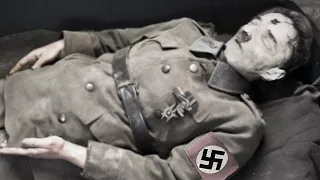 What THEY NEVER TOLD YOU about Hitler's DEATH