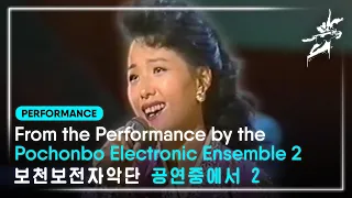 보천보전자악단 공연중에서 2 (1995) / From the Performance by the Pochonbo Electronic Ensemble 2 (1995)