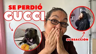 BROMA SE PERDIÓ GUCCI (Mi mamá se vengo)