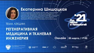 Регенеративная медицина и тканевая инженерия