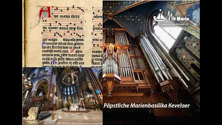 Ave Maris Stella - Improwizacja organisty Elmar Lehnen na organach bazyliki w Kevelaer