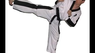 improve your taekwondo sidekick in 7 minutes