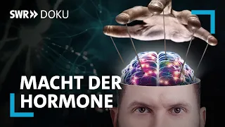 Vermögen verschenken, keine Muttergefühle - Wie Hormone uns steuern | SWR Doku