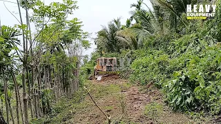 Excellent work Caterpillar D6R XL bulldozer operator working to clean plantation roads