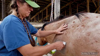 Equine Vet, Dr. Jenni Grimmett Explains Horse Herd Freeze Branding