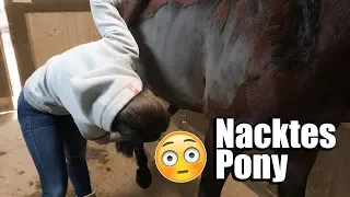 Schnipp Schnapp Haare ab! ✂️😱 | Marina und die Ponys