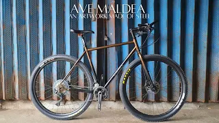 Bike Build: Ave Maldea Bikepacking / Touring Bike