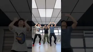 Pakito Pakito Tiktok Dance Compilation (Limb by Limb)