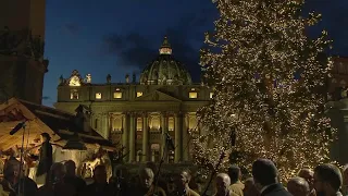 Nativity scene and Christmas tree light up St. Peter's Square