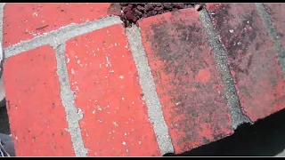 How to REMOVE MOLD from BRICKS