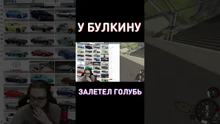 К Булкину залетел голубь