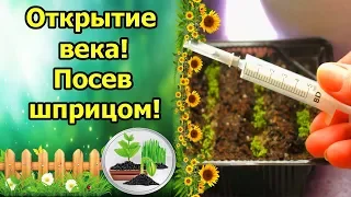 ИЗОБРЕТЕНИЕ ВЕКА! ШПРИЦ ДЛЯ ПОСЕВА МЕЛКИХ СЕМЯН ЛОБЕЛИИ, ПЕТУНИИ, ЗЕМЛЯНИКИ! ПОСЕВ ЛОБЕЛИИ ШПРИЦОМ!