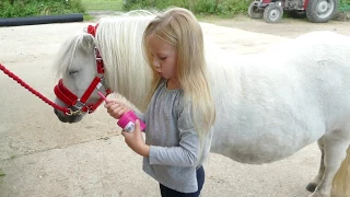 How to groom and look after your Shetland Pony Tutorial with Harlow White Age 5