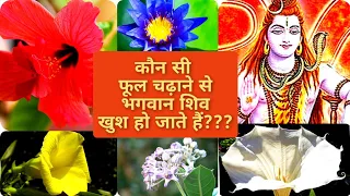 शिव जी के प्रिय फूल | इन फूलों को चढ़ाने से शिव जी प्रसन्न हो जाते हैं | Best Offering Lord Shiva‌