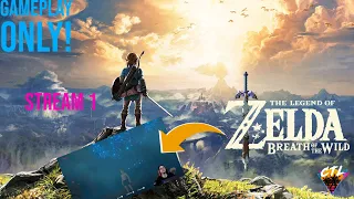 01/13/22 Zelda: BOTW begins now! (with some Troubleshooting....) Stream 1.