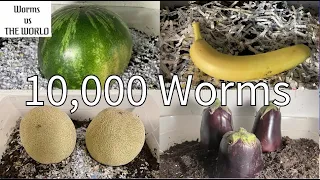 What will 10,000 Worms do to food?