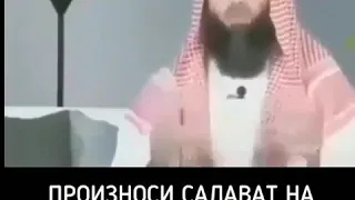 Польза салавата