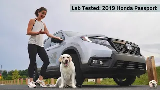 2019 Honda Passport: Andie the Lab Review!