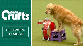 Freestyle Heelwork To Music - Part 3 | Crufts 2020