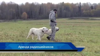 Инстинкт кинологический центр