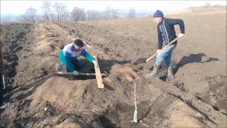 Весенняя посадка ореха в Господарул. Март 2017