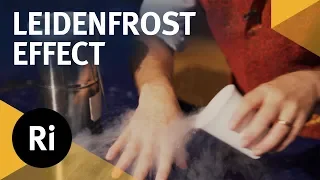 Liquid Nitrogen and the Leidenfrost Effect