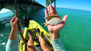 Revisiting Shark Attack Bridge for Big Fish - Florida Keys Episode 2