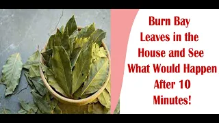 Burn Bay Leaves in the House and See What Would Happen After 10 Minutes!