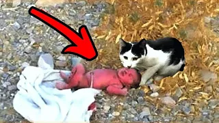 The cat found an abandoned baby, but what she did to him shocked the whole world!