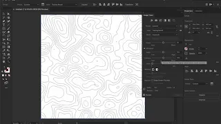 Topographic Map Pattern