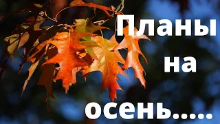 Планы на осень....Для семьи...Вязание ,шитьё,вышивка,рукоделие...