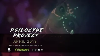 Psilocybe Project April 2019