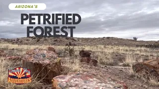 The Petrified Forest, Painted Desert, Route 66 and an unfortunate accident.