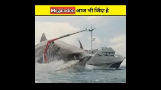 क्या Megalodon 🤔🦈 आज भी जिंदा है - aviswasniya world #shorts