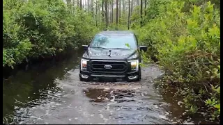 FAO E2:  4wd off-roading with a Brand New 2021 F150 Stuck in the Swamp, Rescued by Jeep Gladiator