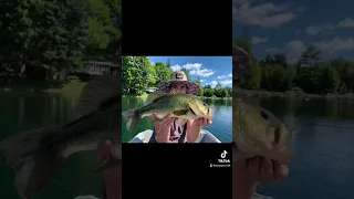 Fly fishing for bass!!