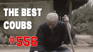 Best COUB #556 - HOT WEEKS VIDEOS