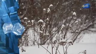 День зимнего солнцестояния