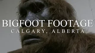 IMPRESSIVE BIGFOOT FOOTAGE - Mountain Beast Mysteries Episode 30.