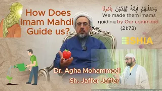 How Does Imam Mahdi Guide us?