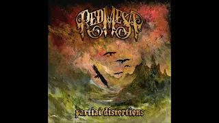 RED MESA - Partial Distortions [FULL ALBUM] 2024