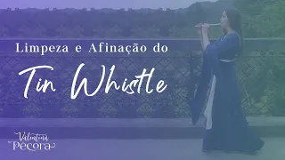 Afinação e Limpeza do Tin Whistle