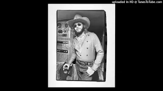 Hank Williams Jr -- LIVE, Dixie On My Mind, 1983