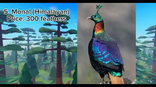 Amazing birds we need in feather family - part 2