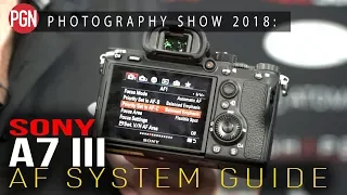 SONY A7 III Autofocus Settings - A Complete Guide to the AF menu settings