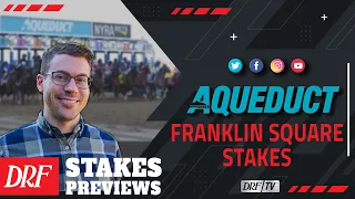 Franklin Square Stakes Preview 2022