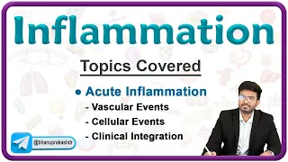 Acute Inflammation Vascular and Cellular events with Clinical integration 💥 - Pathology Lecture 3
